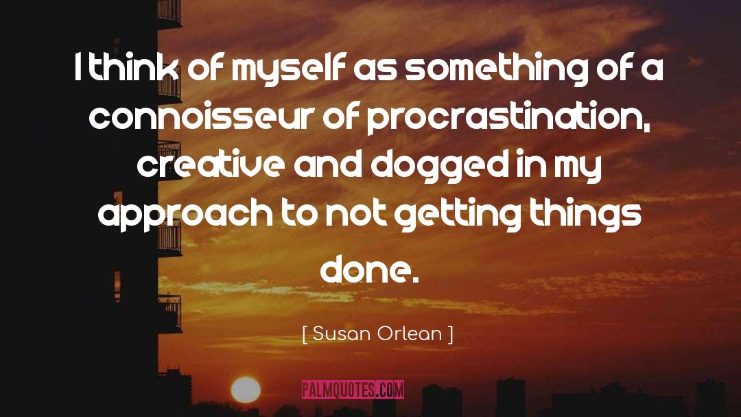 Procrastinator quotes by Susan Orlean