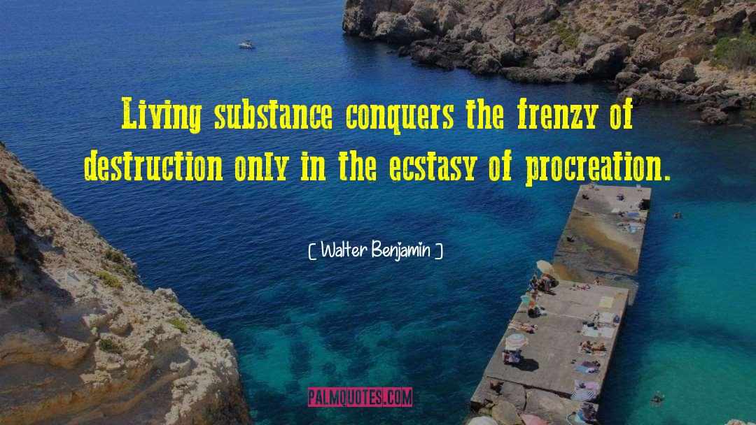 Procreation quotes by Walter Benjamin