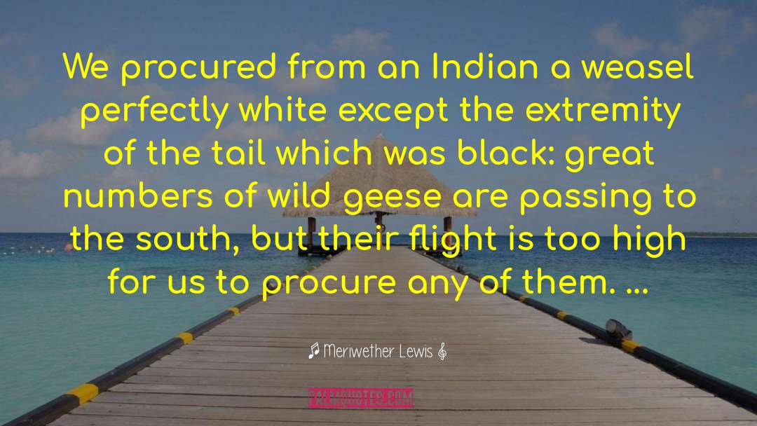 Procured quotes by Meriwether Lewis