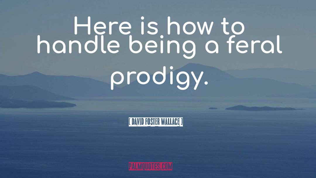 Prodigy quotes by David Foster Wallace