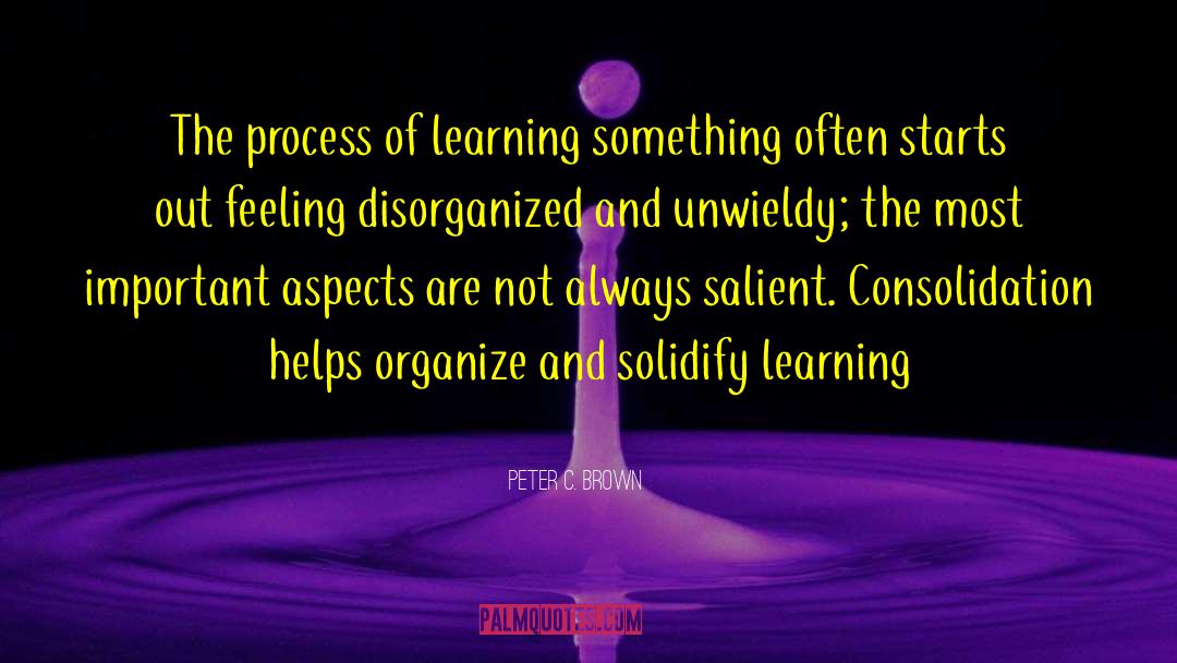 Product Of Learning quotes by Peter C. Brown