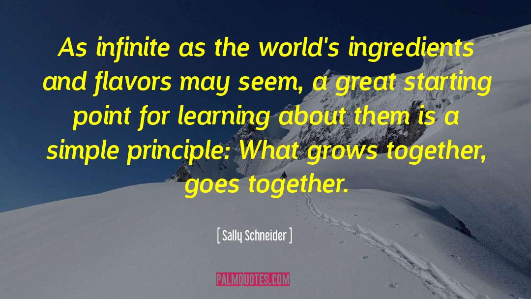 Productivity Principle quotes by Sally Schneider
