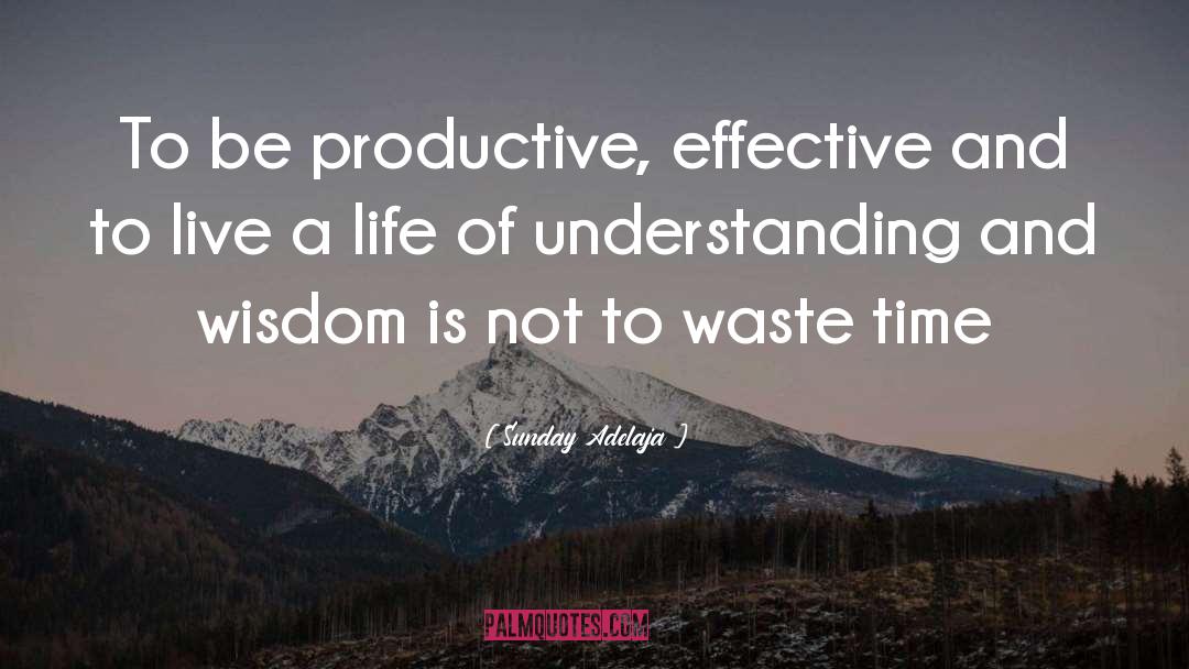 Productivity Promoter quotes by Sunday Adelaja