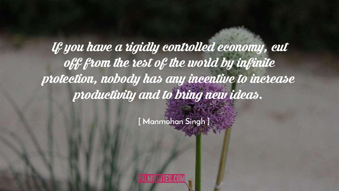 Productivity Promoter quotes by Manmohan Singh