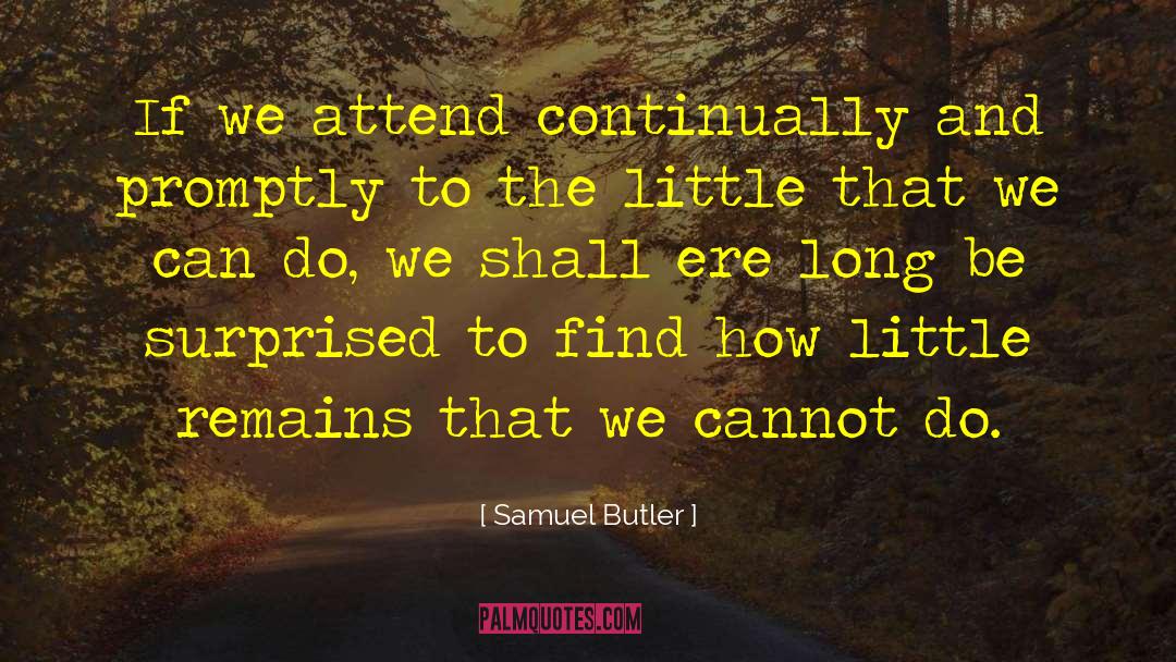 Productivity Promoter quotes by Samuel Butler