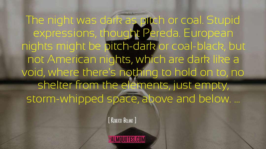 Profaned Coal quotes by Roberto Bolano