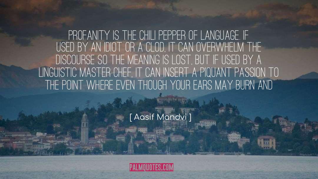 Profanity quotes by Aasif Mandvi