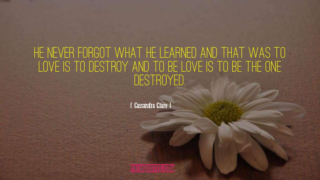 Profess Love quotes by Cassandra Clare