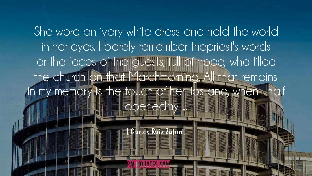 Professional Dress quotes by Carlos Ruiz Zafon