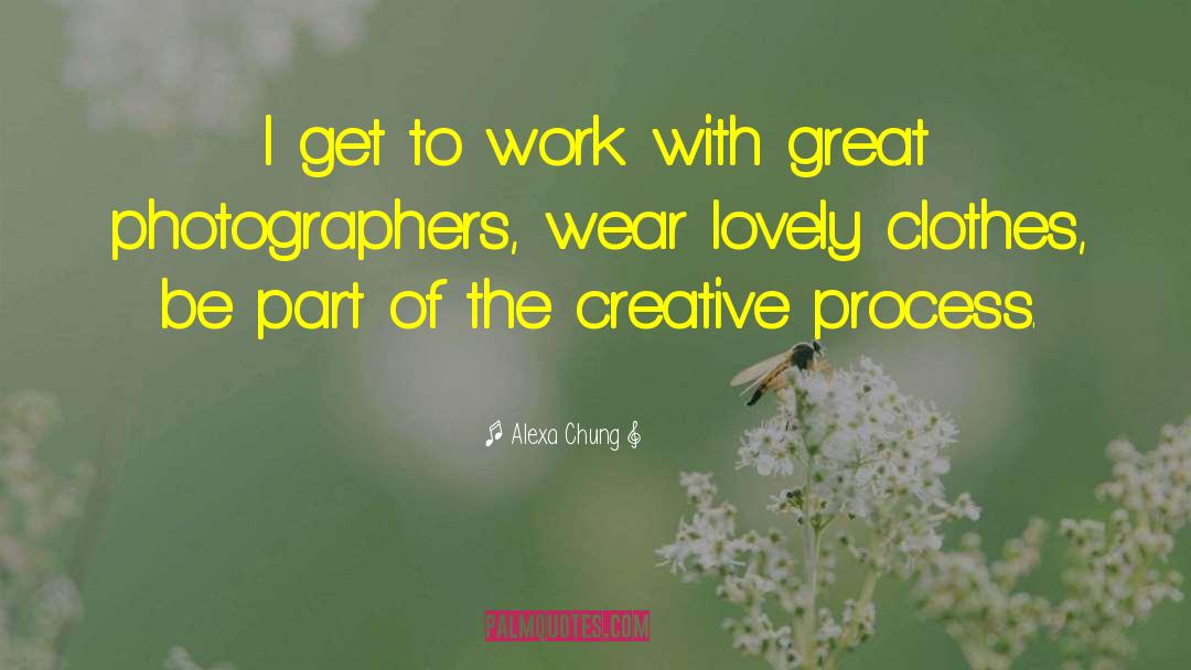 Professional Photographer quotes by Alexa Chung