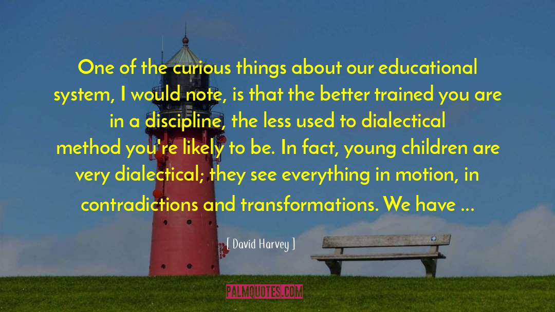 Professional Training quotes by David Harvey