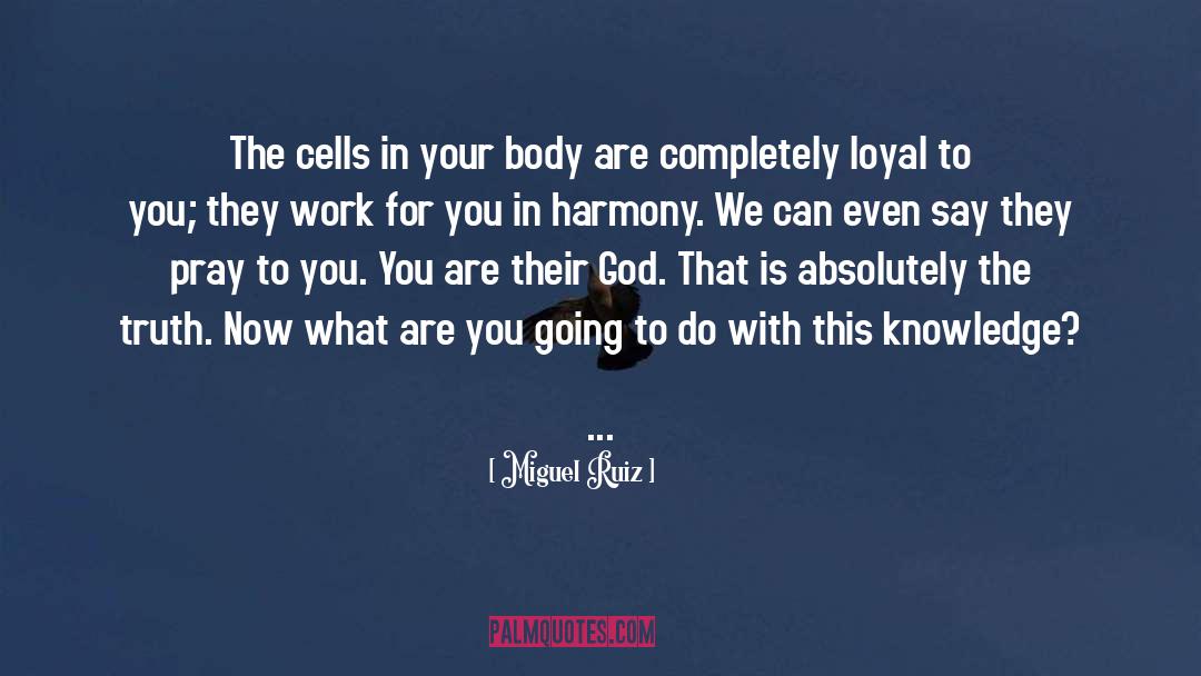 Professional Work quotes by Miguel Ruiz