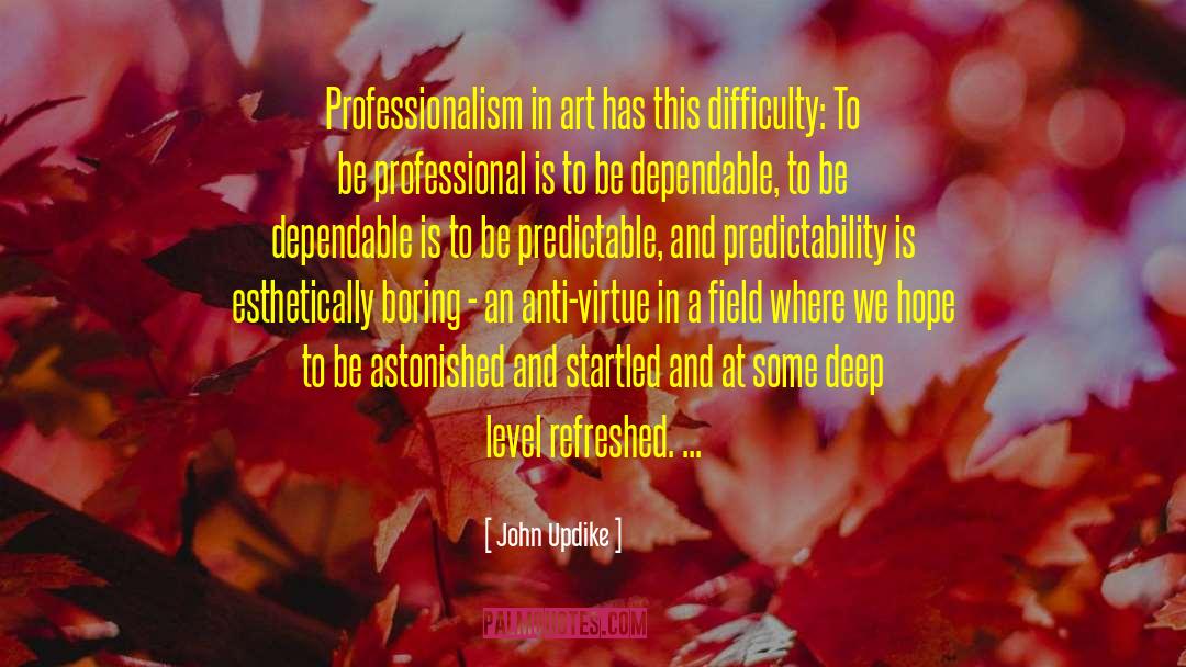 Professionalism quotes by John Updike