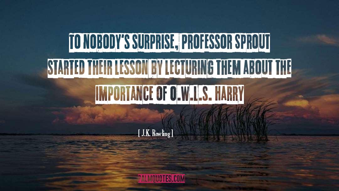 Professor quotes by J.K. Rowling