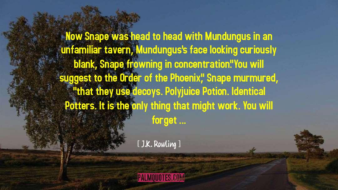 Professor Snape quotes by J.K. Rowling
