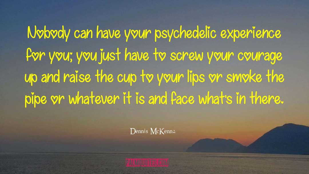 Profiles In Courage quotes by Dennis McKenna