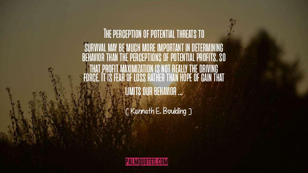 Profit Maximization quotes by Kenneth E. Boulding