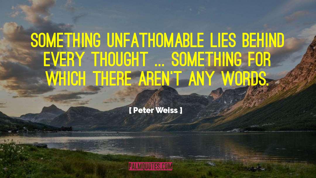 Profound Thought quotes by Peter Weiss