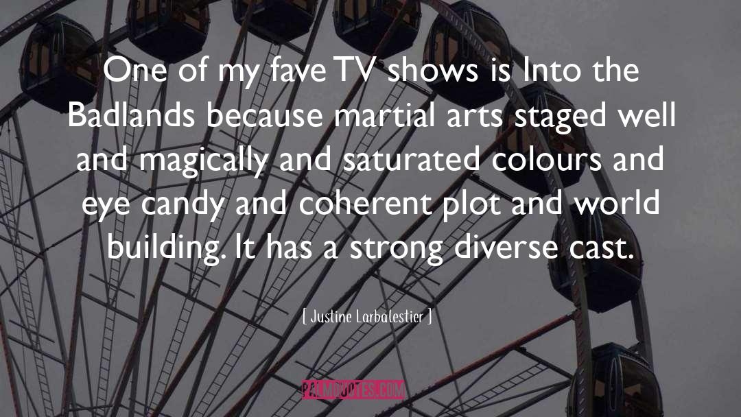Programas De Tv quotes by Justine Larbalestier