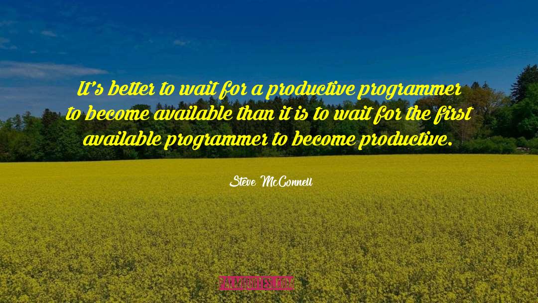Programmer quotes by Steve McConnell