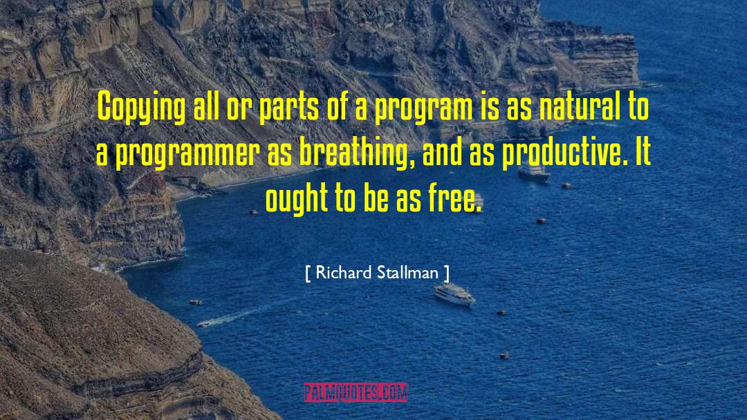 Programmer quotes by Richard Stallman