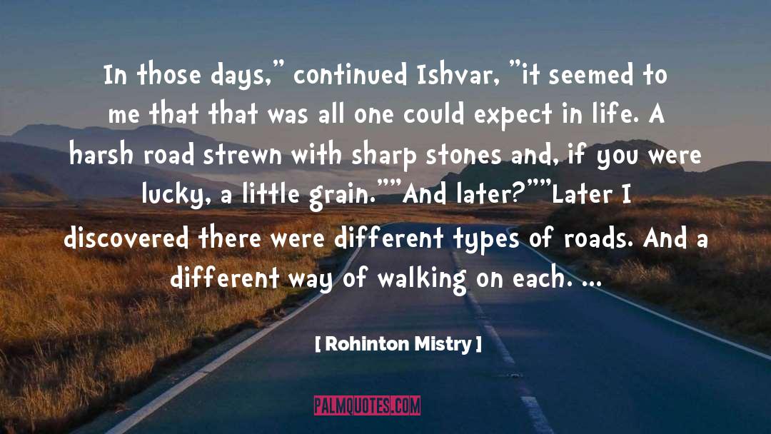 Programmers Attitude quotes by Rohinton Mistry