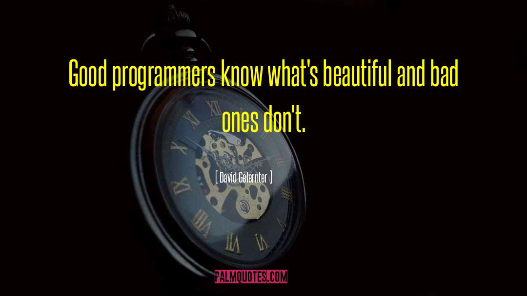 Programmers quotes by David Gelernter
