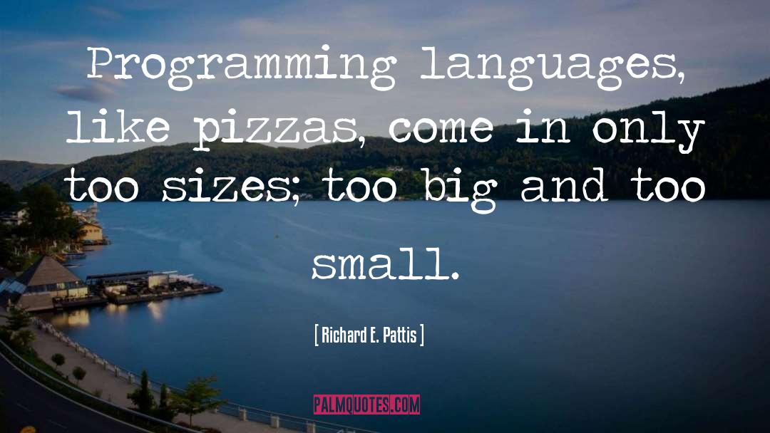Programming Languages quotes by Richard E. Pattis