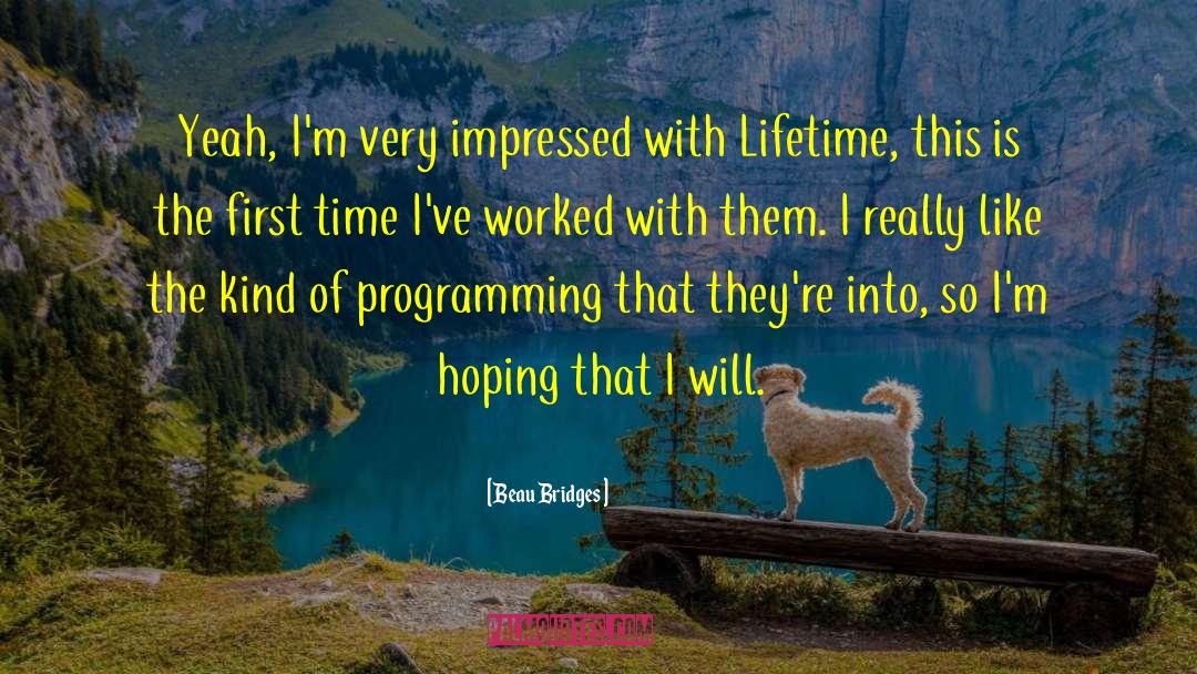 Programming quotes by Beau Bridges