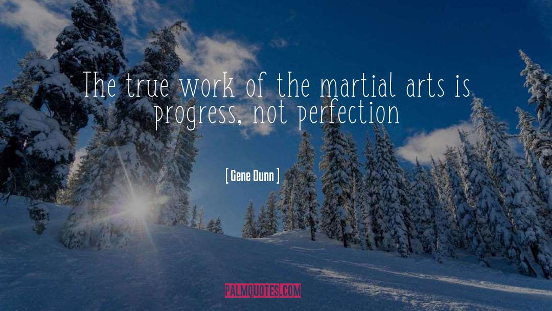 Progress Not Perfection quotes by Gene Dunn