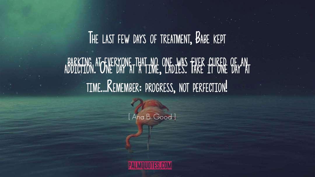 Progress Not Perfection quotes by Ana B. Good