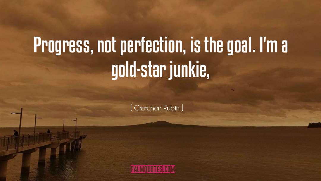 Progress Not Perfection quotes by Gretchen Rubin
