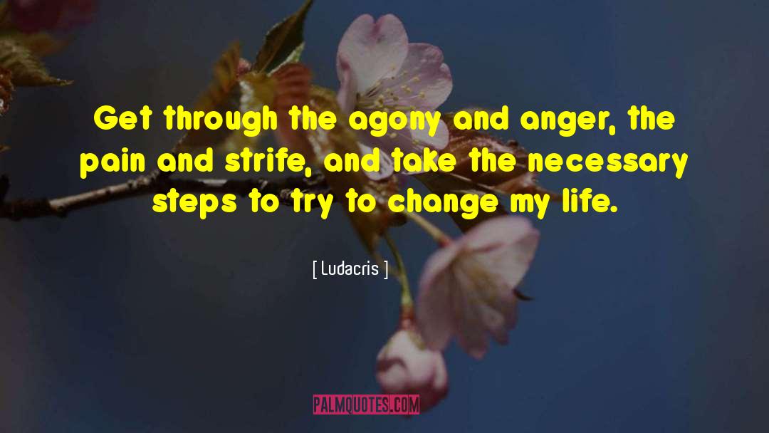 Progressive Change quotes by Ludacris
