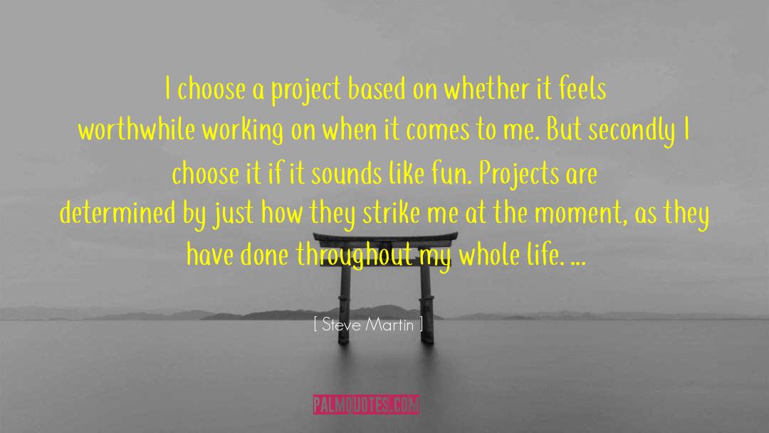 Project Based Homeschooling quotes by Steve Martin