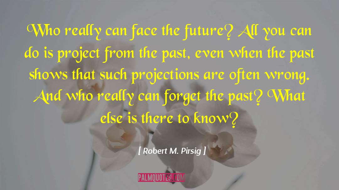 Projection quotes by Robert M. Pirsig