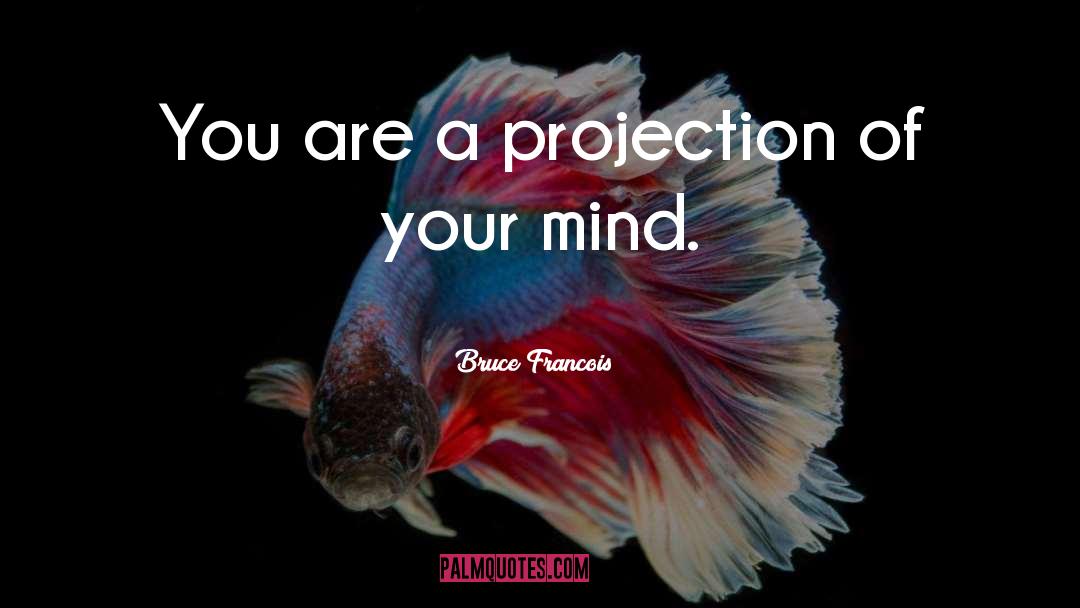 Projection quotes by Bruce Francois