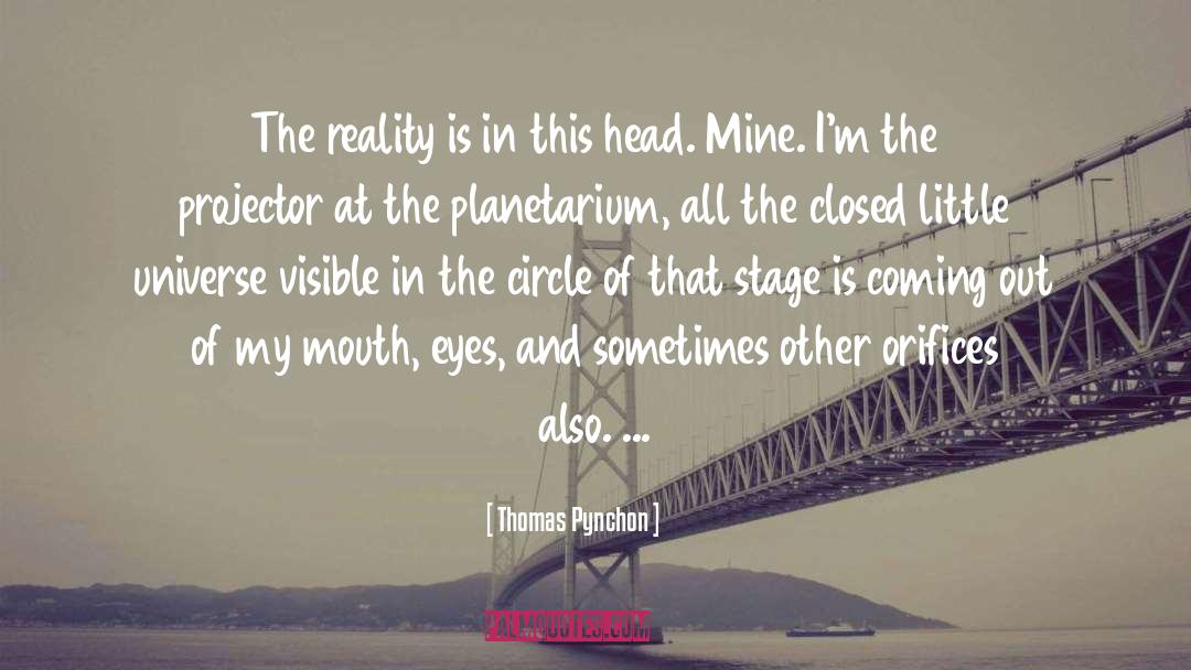 Projectors quotes by Thomas Pynchon