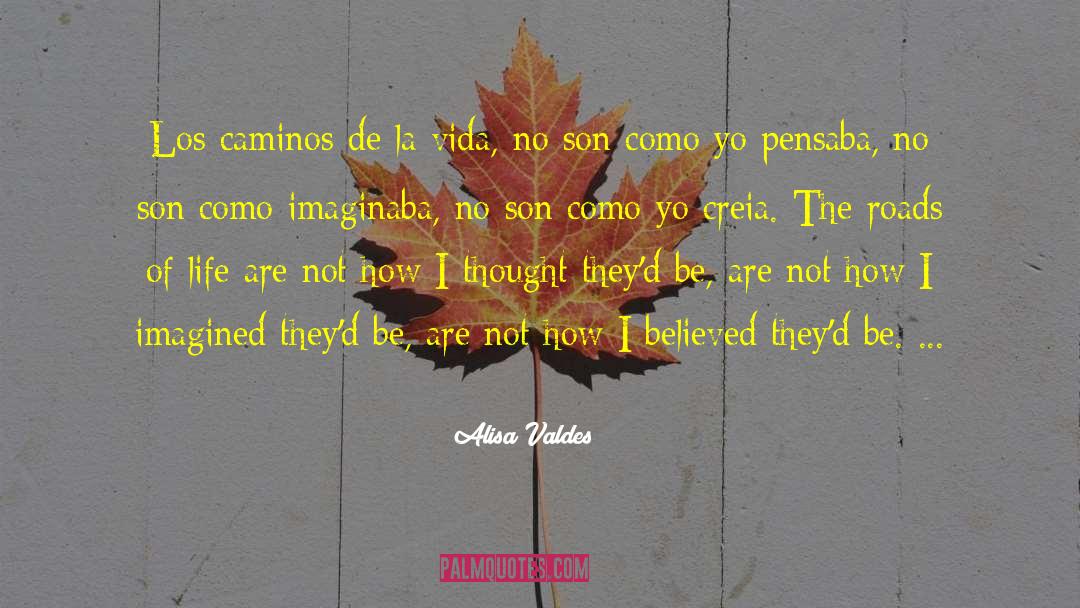 Projeto De Vida quotes by Alisa Valdes