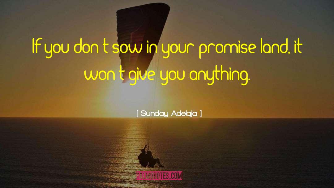 Promise Land quotes by Sunday Adelaja