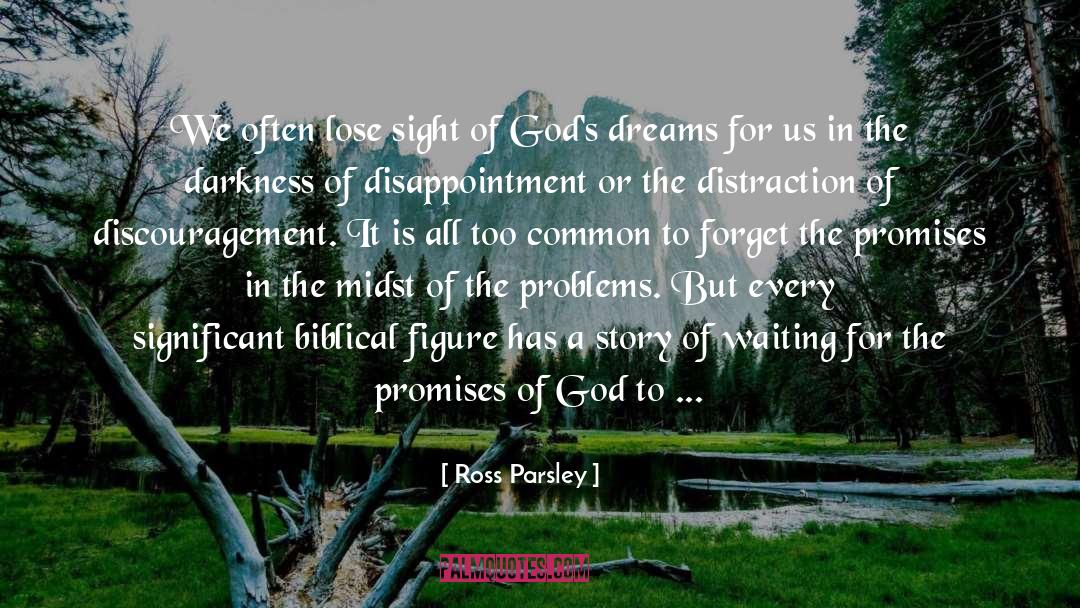 Promises Of God quotes by Ross Parsley