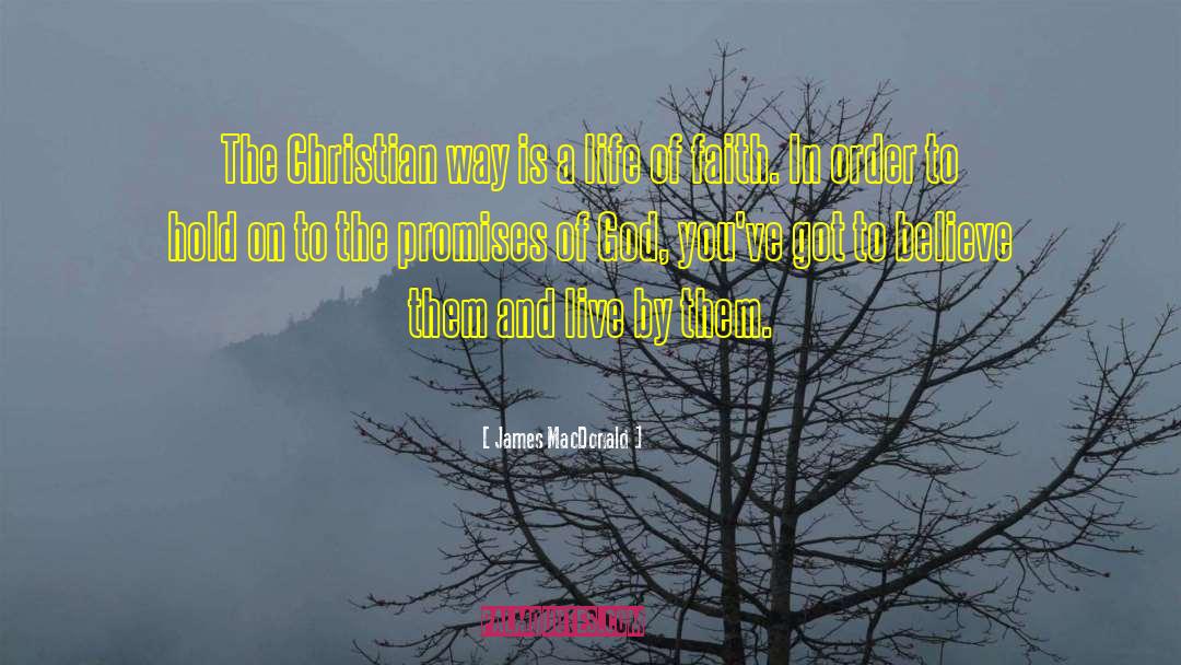 Promises Of God quotes by James MacDonald