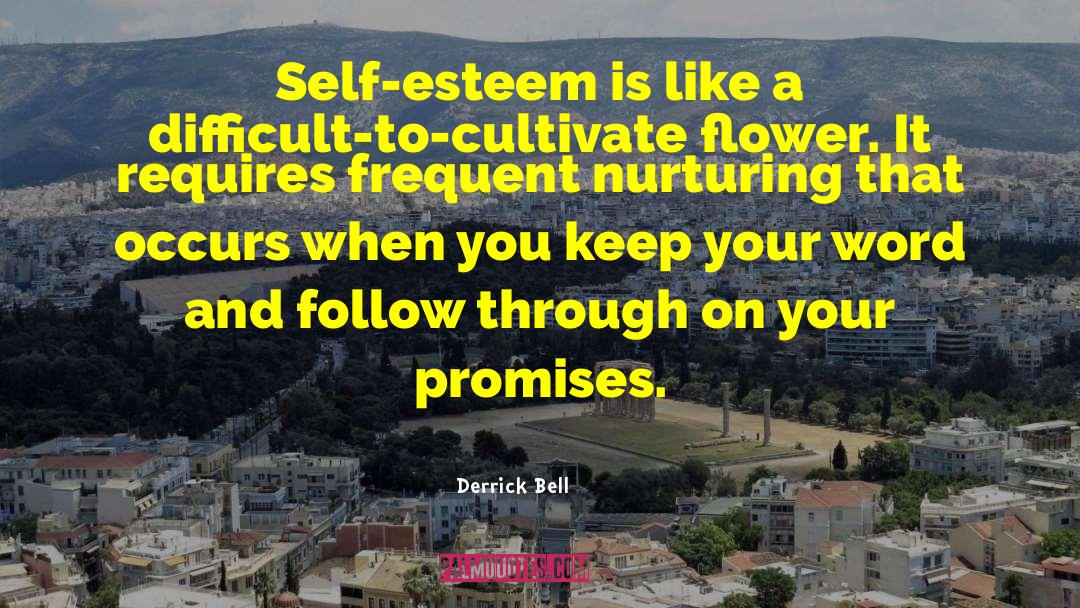 Promises Self Esteem quotes by Derrick Bell