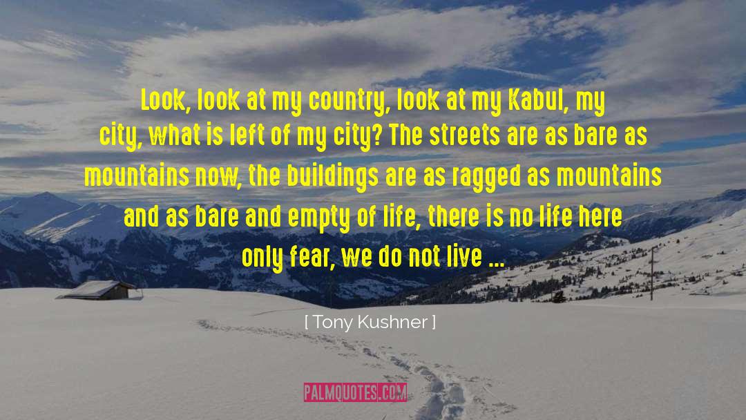 Promotion quotes by Tony Kushner