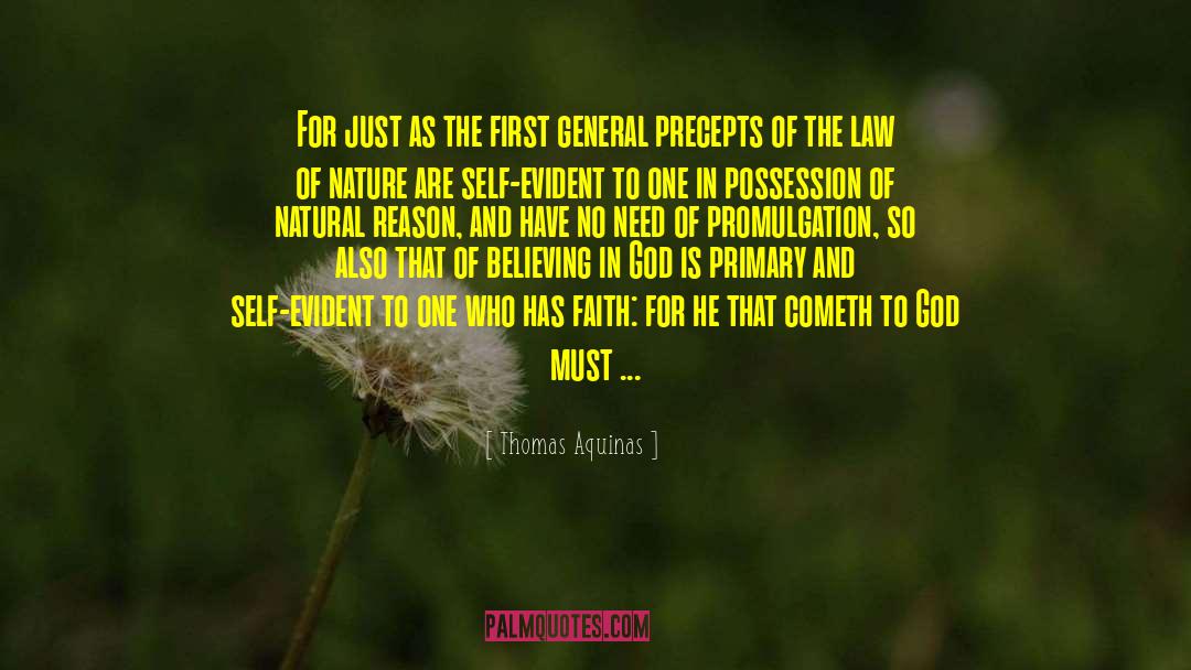 Promulgation quotes by Thomas Aquinas