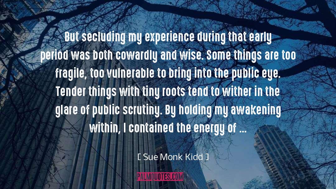 Propelling quotes by Sue Monk Kidd