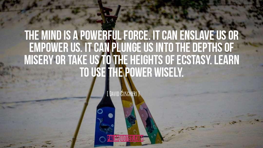 Proper Use Of Power quotes by David Cuschieri