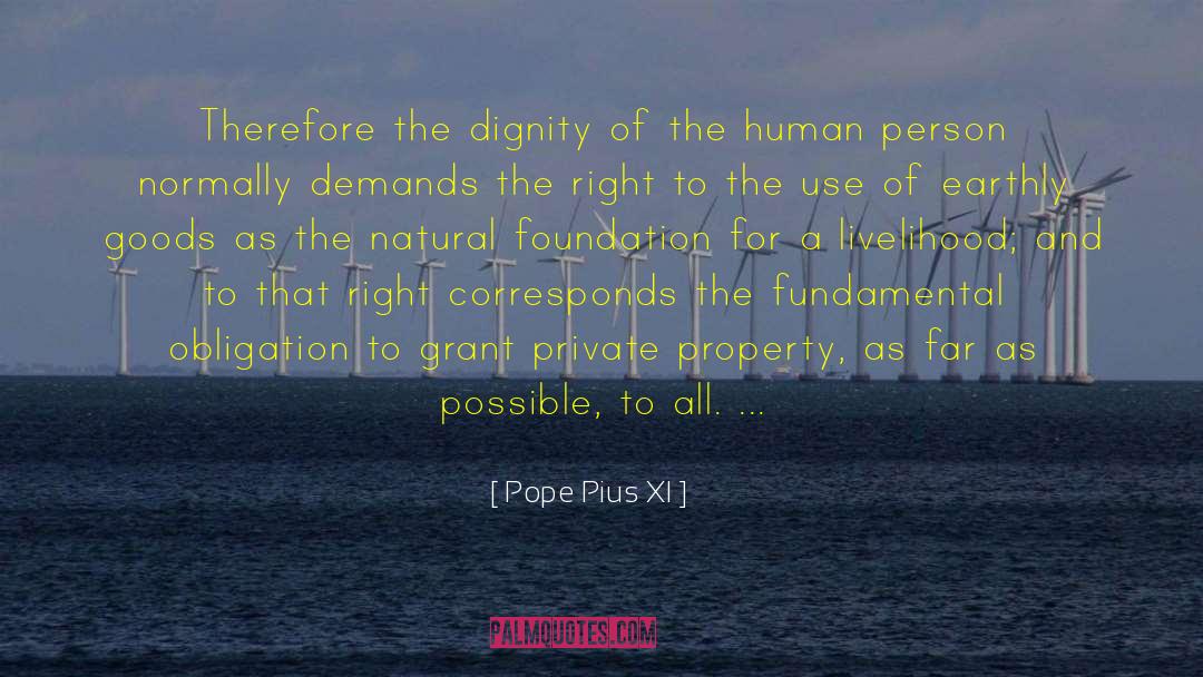 Property Investing Tips quotes by Pope Pius XI