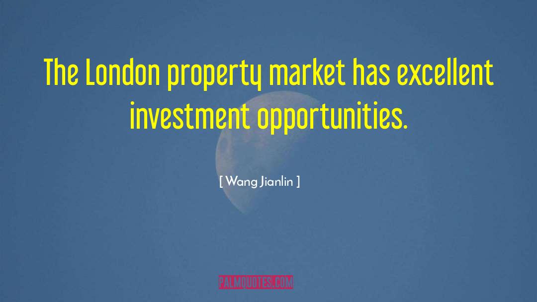 Property Market quotes by Wang Jianlin