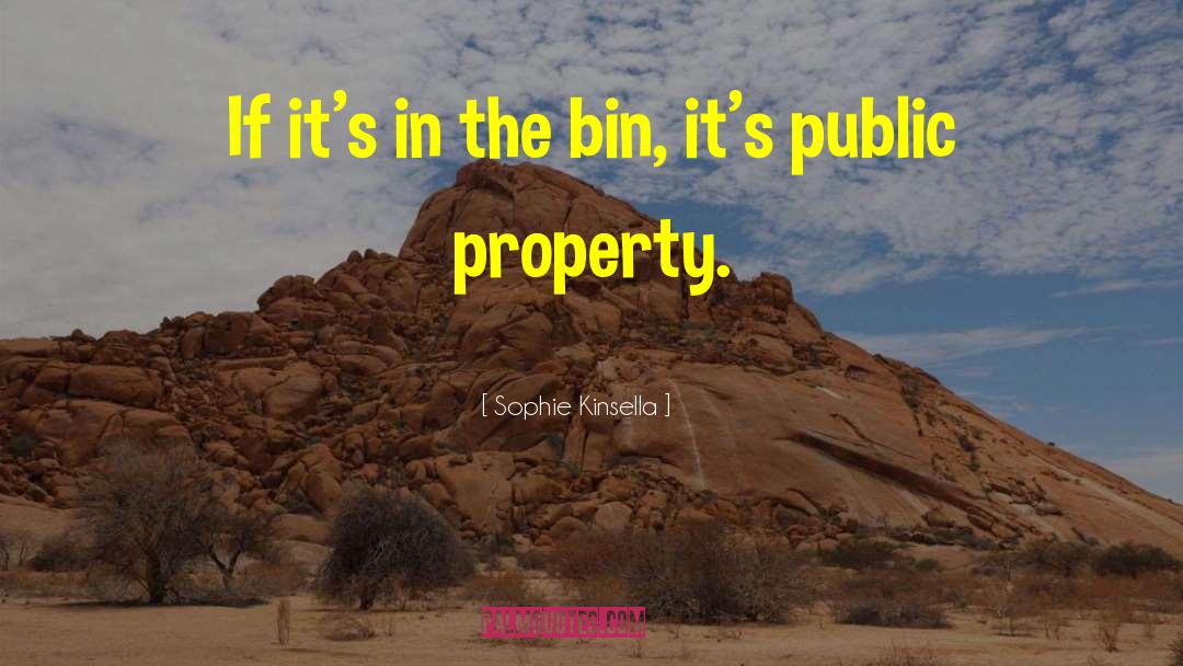 Property Possessions quotes by Sophie Kinsella