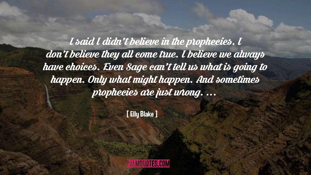 Prophecies quotes by Elly Blake